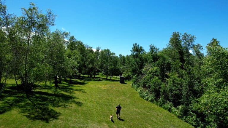 Enjoy the grounds with your puppy