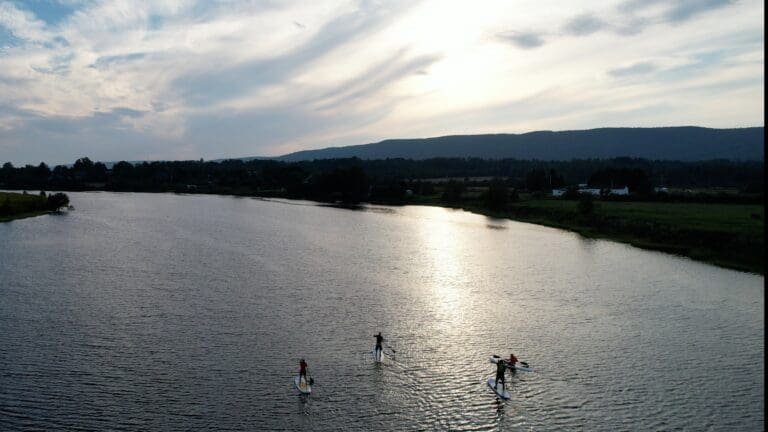 SUP in the river