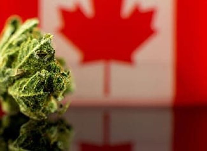 article-cannabis-addiction-canada