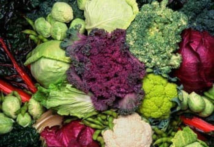 article-what-you-can-eat